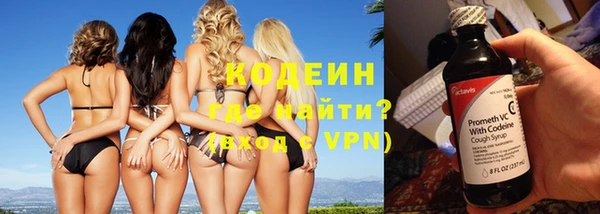 индика Бронницы