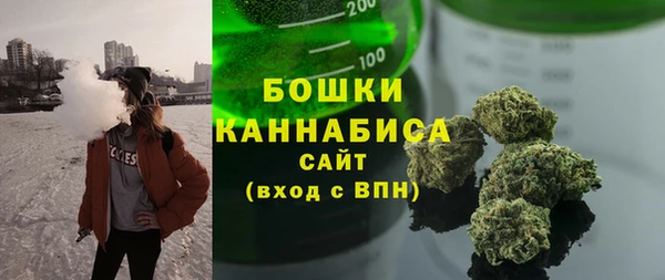 гидра Богородицк
