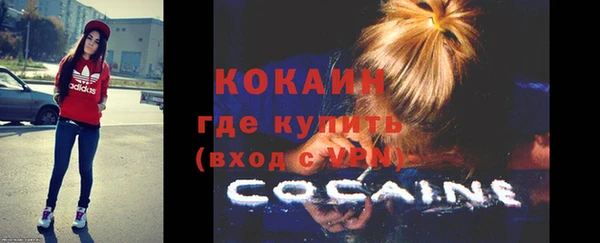 индика Бронницы