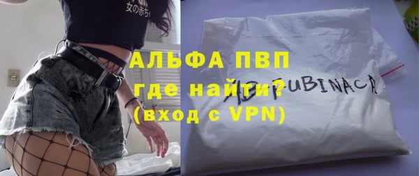 индика Бронницы