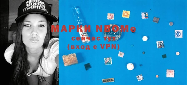 индика Бронницы
