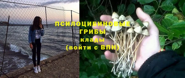 таблы Бородино