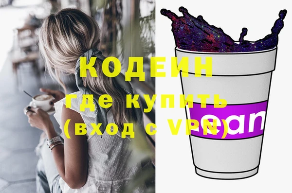 индика Бронницы