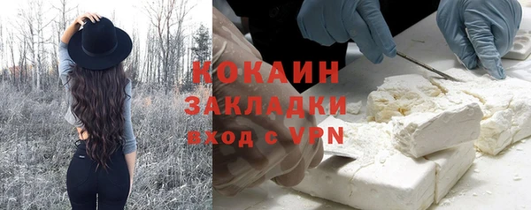 индика Бронницы