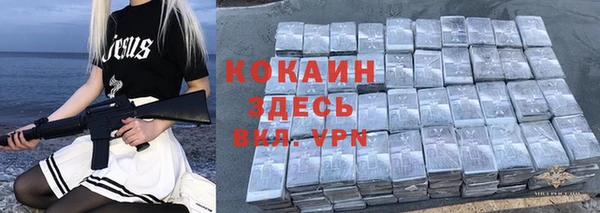 таблы Бородино