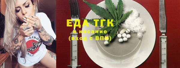 индика Бронницы