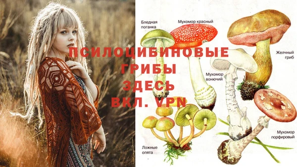 таблы Бородино