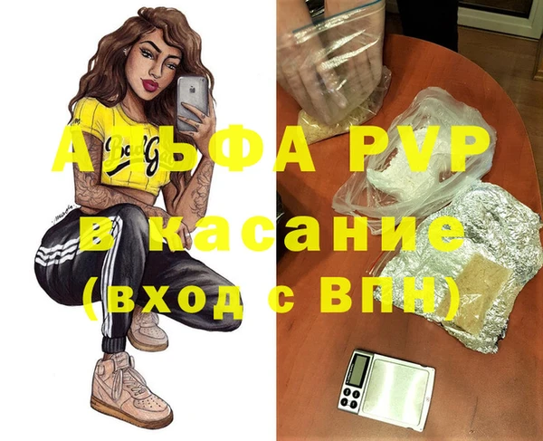 таблы Бородино