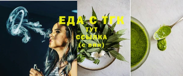 индика Бронницы