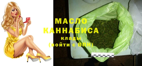 таблы Бородино