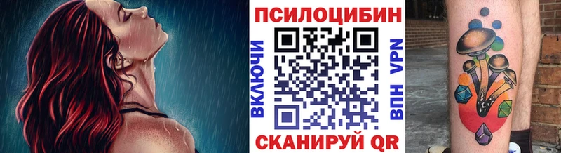 наркотики  Каспийск  Псилоцибиновые грибы Cubensis 